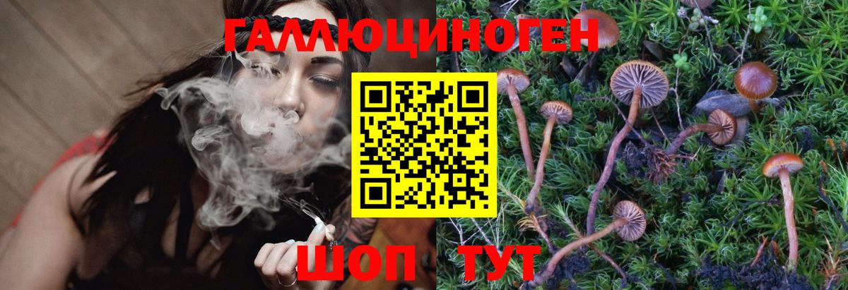 Псилоцибиновые грибы Magic Shrooms  Галлюциногенные грибы Psilocybe  Ростов-на-Дону  Вход с VPN 
